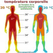 Temperature corporelle